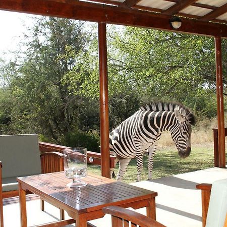 Turaco Lodge - No Loadshedding Marloth Park Kültér fotó