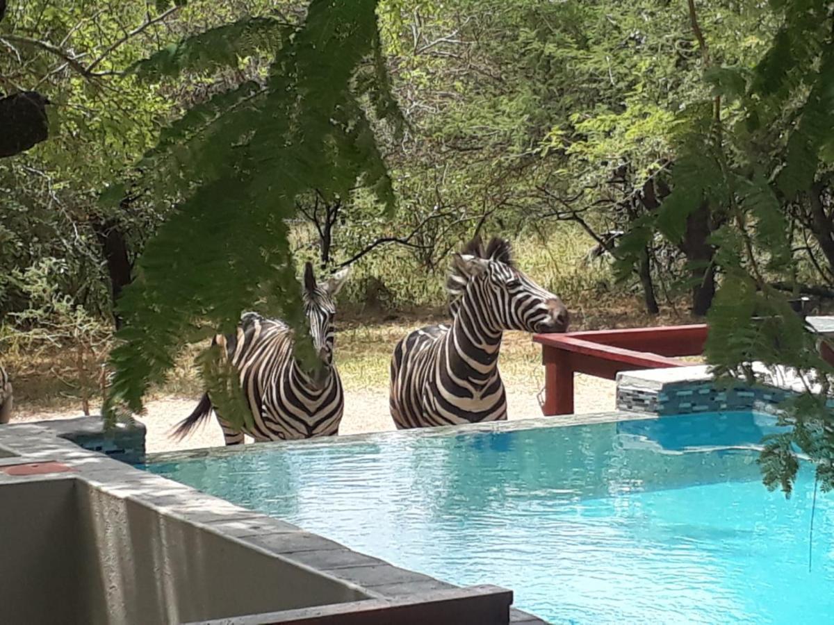 Turaco Lodge - No Loadshedding Marloth Park Kültér fotó