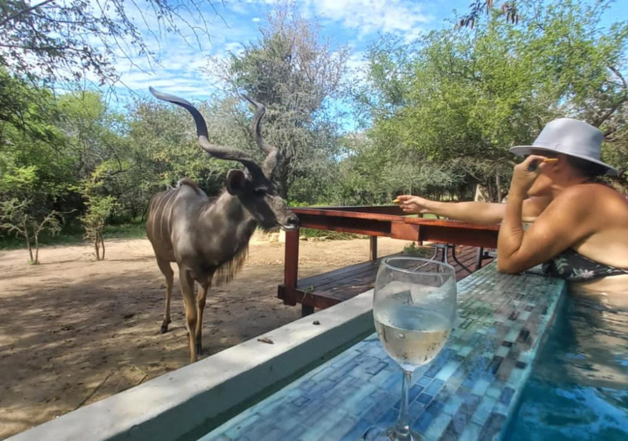 Turaco Lodge - No Loadshedding Marloth Park Kültér fotó